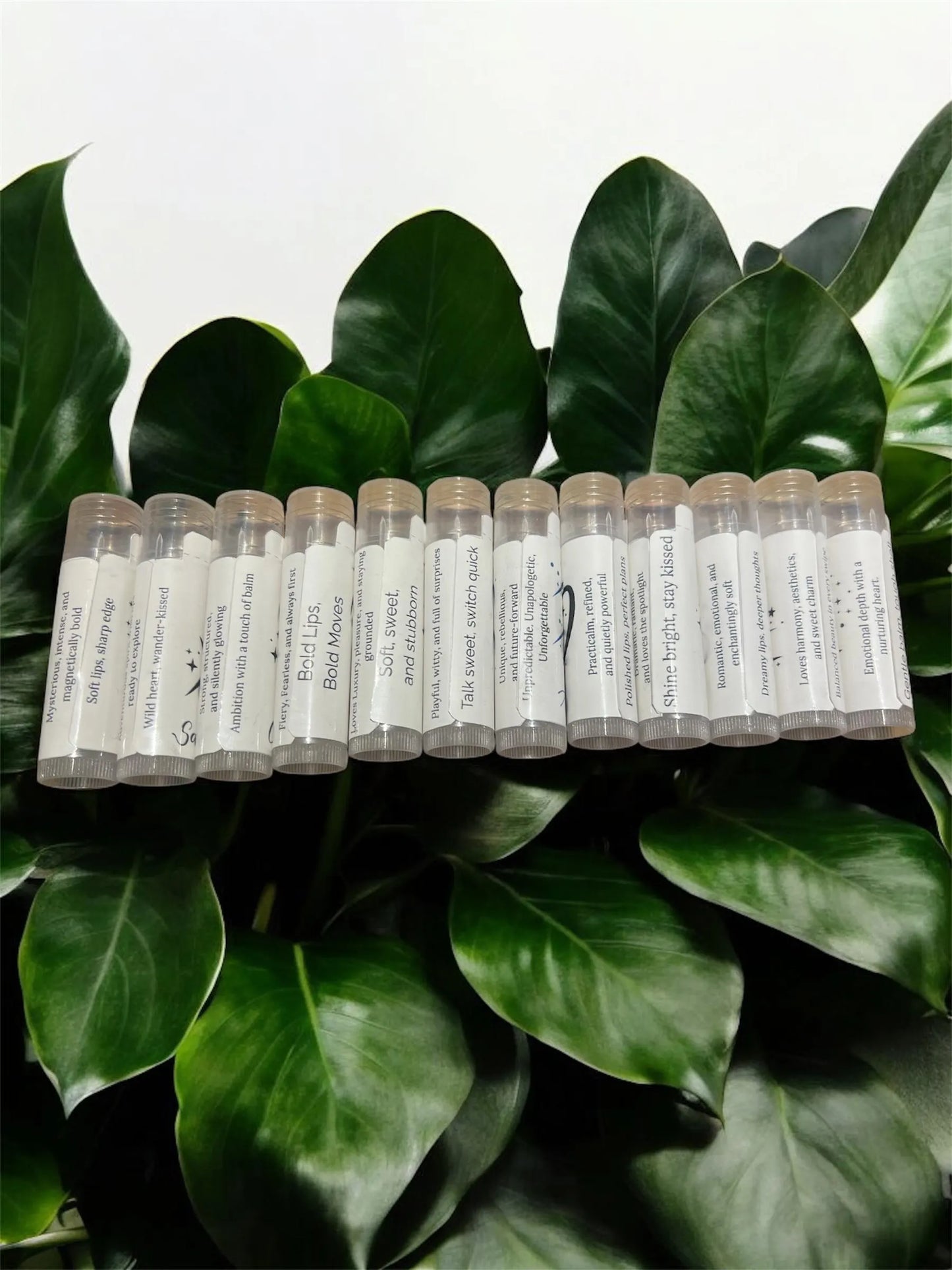 Handmade lip balm tubes with zodiac designs arranged among succulents
