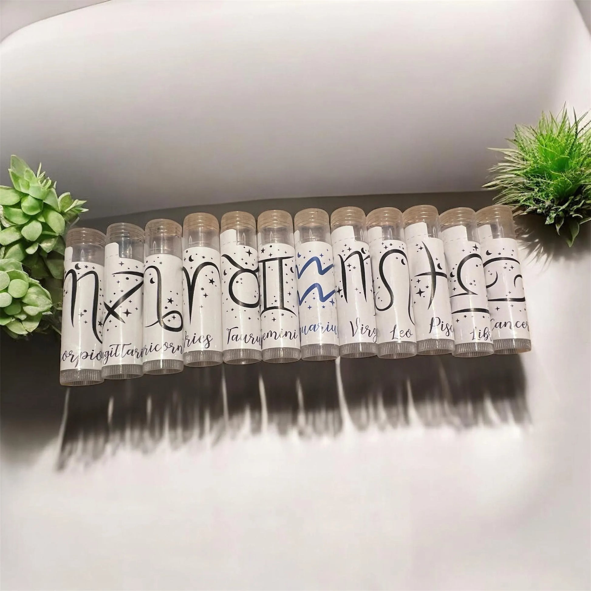 Handmade zodiac lip balms displayed on rustic wooden background with green succulents